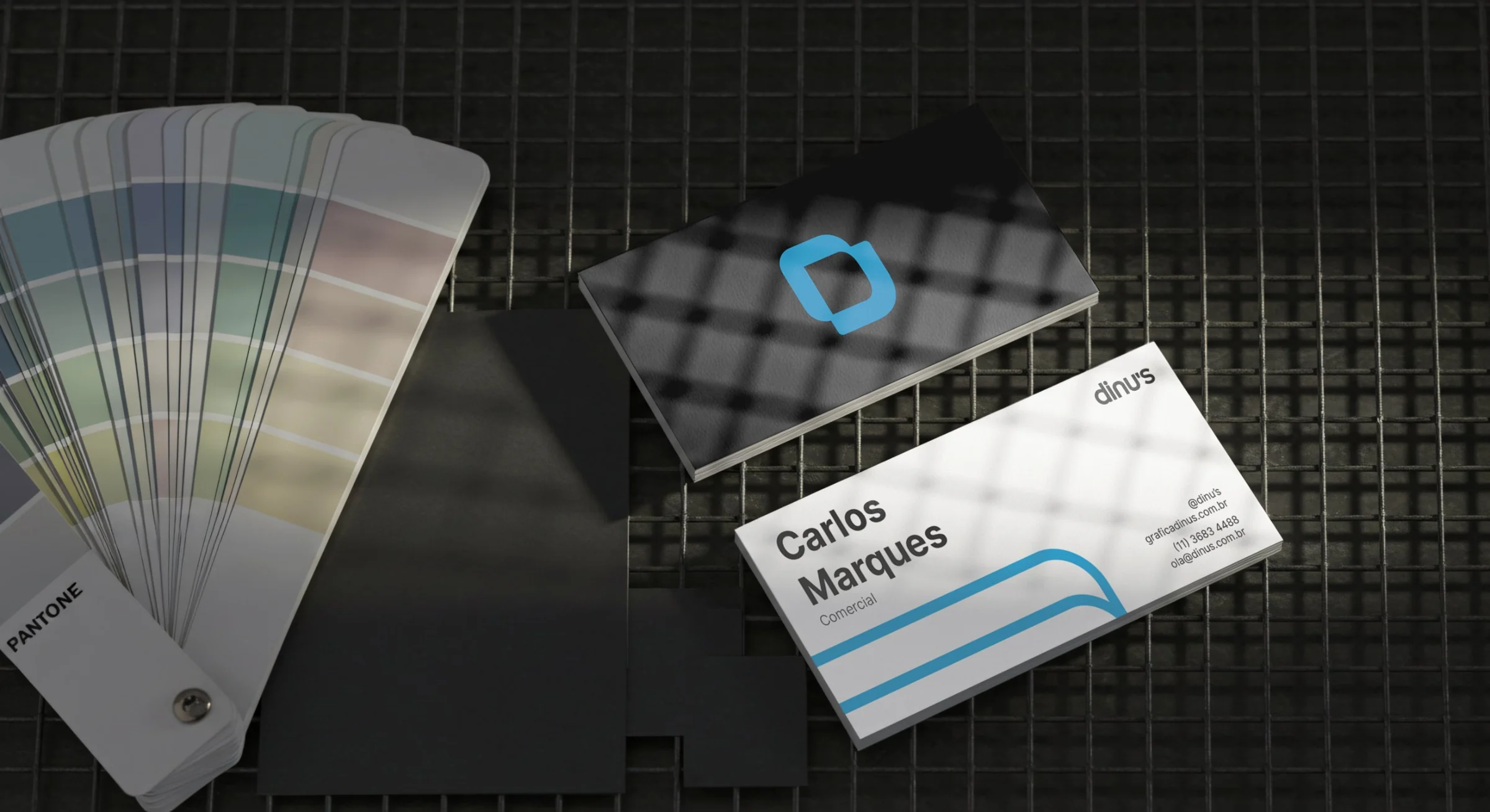 Cartões de visita da DINU'S com o símbolo azul, ao lado de uma escala de cores