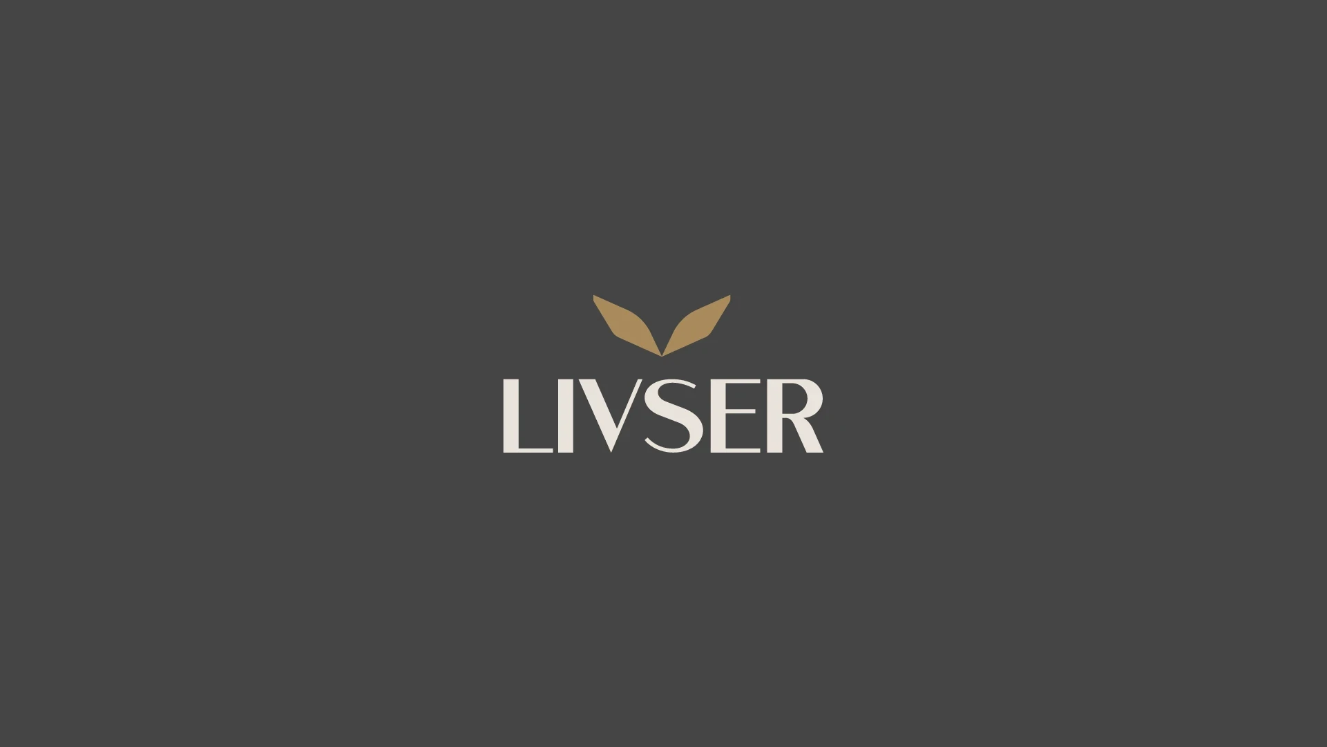 Logotipo Livser sobre grafite